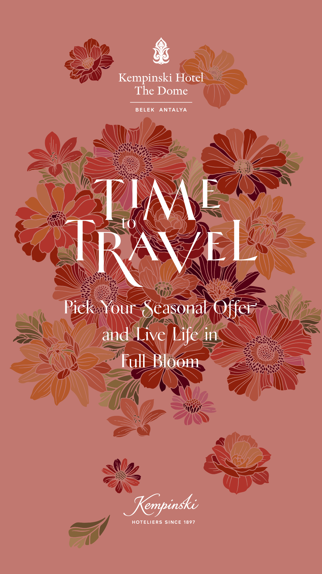 dikey TT-Travel-Story
